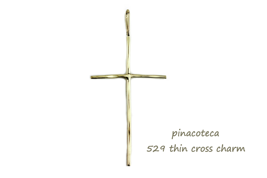 PINa529-1