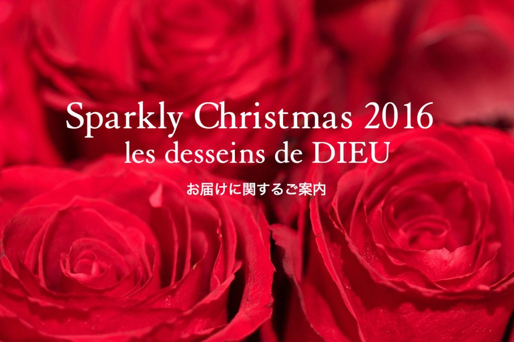 les desseins de DIEU クリスマス ギフト 間に合う プレゼント ジュエリー アクセサリー レデッサンドゥデュー スキンジュエリー