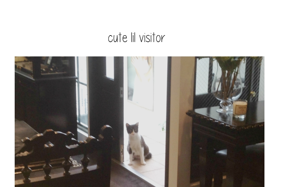 Our cute lil visitor　～珍しいお客様～